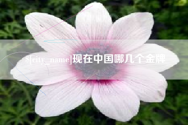 安徽现在中国哪几个金牌