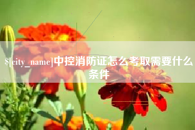 安徽中控消防证怎么考取需要什么条件