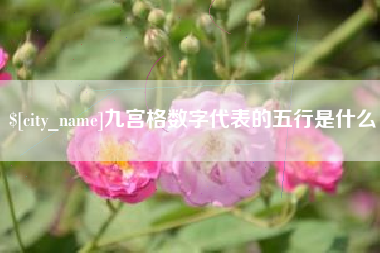 安徽九宫格数字代表的五行是什么