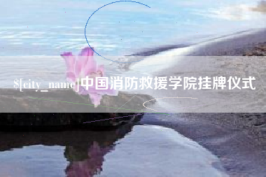 安徽中国消防救援学院挂牌仪式