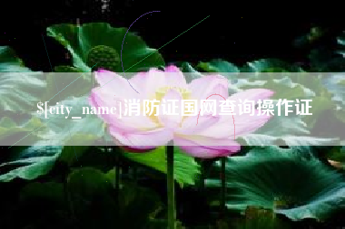 安徽消防证国网查询操作证
