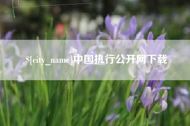 安徽中国执行公开网下载