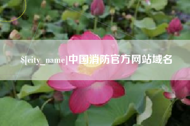 安徽中国消防官方网站域名