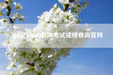 安徽消防考试成绩查询官网