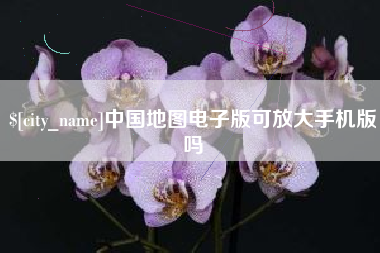 安徽中国地图电子版可放大手机版吗