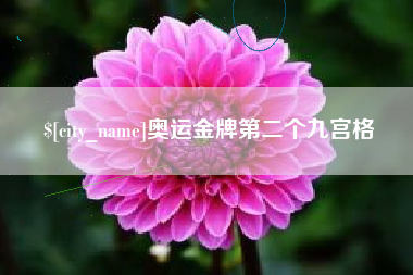 安徽奥运金牌第二个九宫格