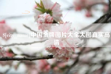 安徽中国金牌图片大全大图真实高清