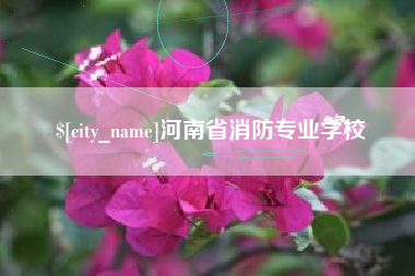 安徽河南省消防专业学校