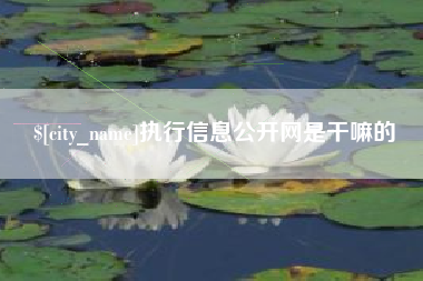 安徽执行信息公开网是干嘛的