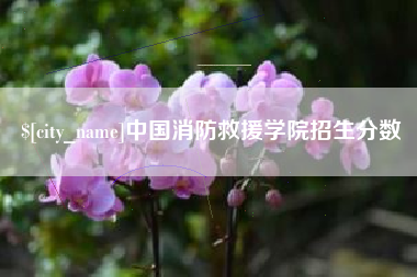 安徽中国消防救援学院招生分数