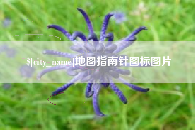 安徽地图指南针图标图片