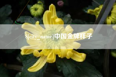 安徽中国金牌样子