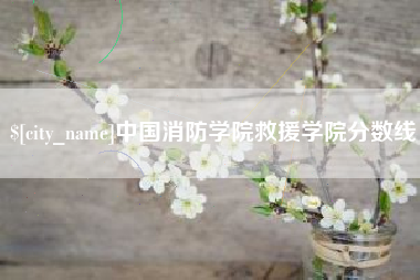 安徽中国消防学院救援学院分数线