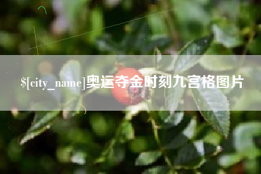 安徽奥运夺金时刻九宫格图片