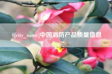 安徽中国消防产品质量信息