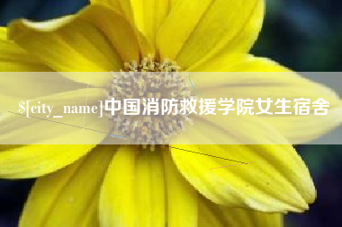 安徽中国消防救援学院女生宿舍