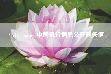 安徽中国执行信息公开网失信