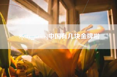 安徽中国有几块金牌啦