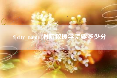 安徽消防救援学院要多少分