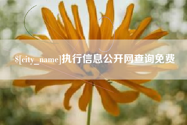 安徽执行信息公开网查询免费