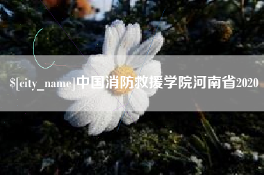安徽中国消防救援学院河南省2020